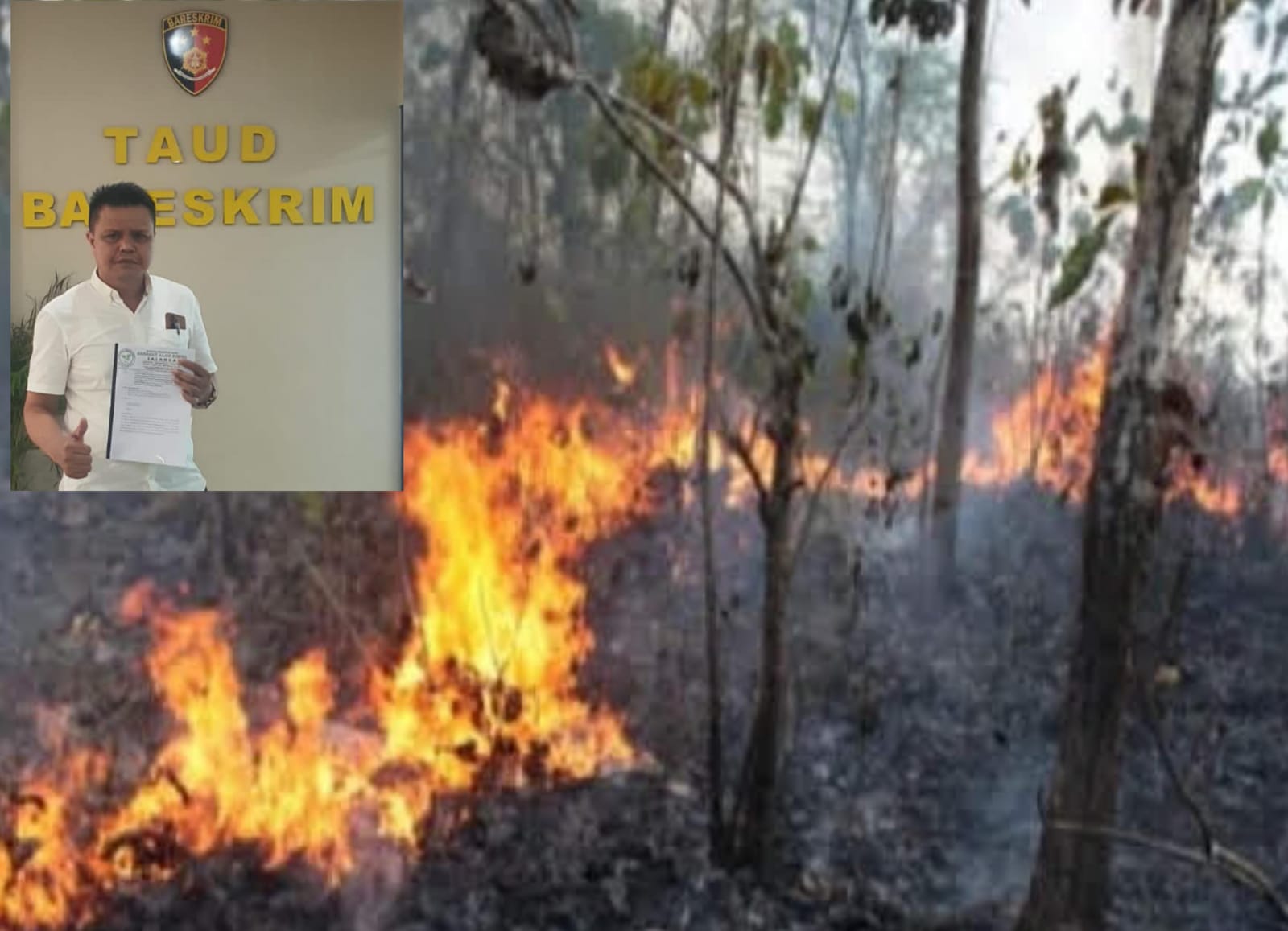 SALAMBA Laporkan Praktik Jual Beli Lahan Zona Rehabilitasi TNTN